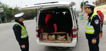 泉州面包车爆料事件最新,真相与争议交织的舆论漩涡