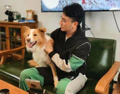 林生斌火灾视频爆料最新,揭秘火灾真相与后续发展